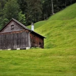 Raised Chicken Coop