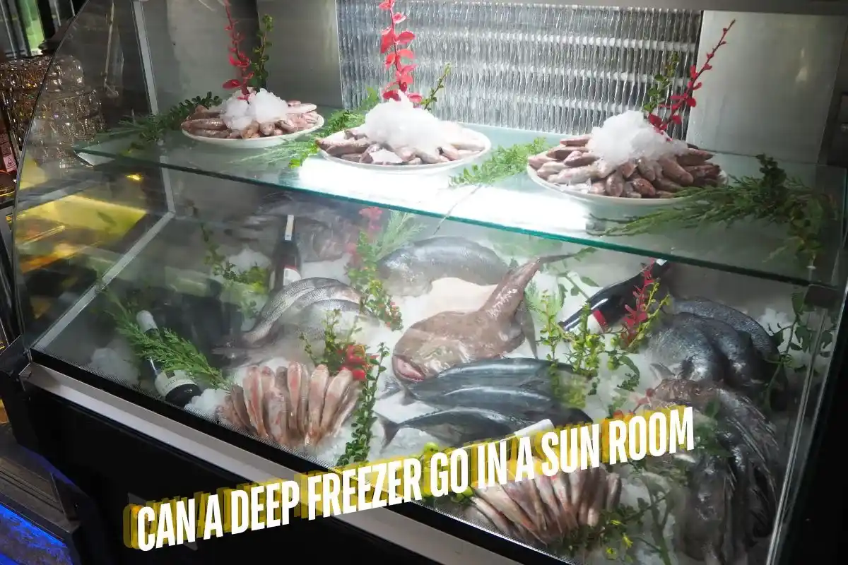 Deep Freezer Go in a Sun Room