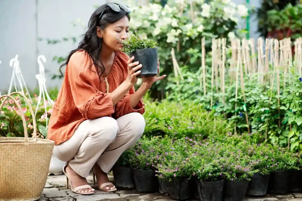 Gardening in Small Shady Areas