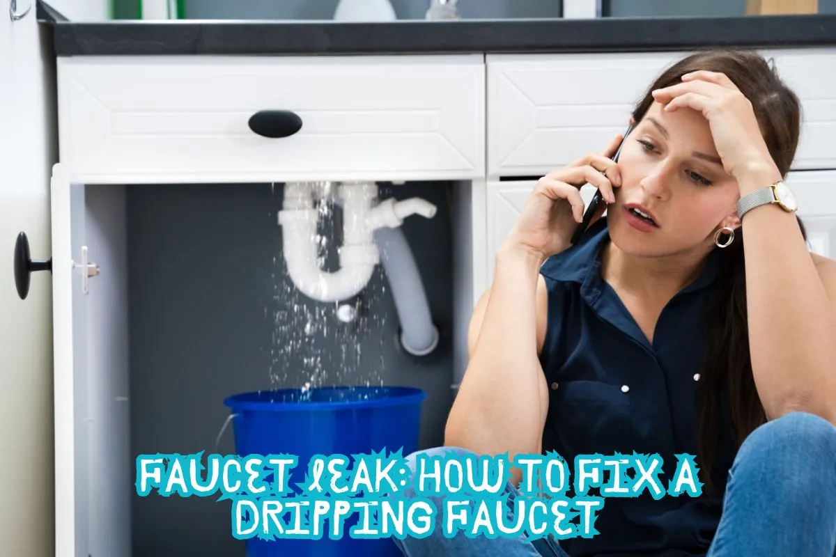 Faucet Leak How to Fix a Dripping Faucet