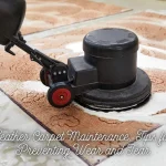 Leather Carpet Maintenance Tips for Preventing Wear and Tear