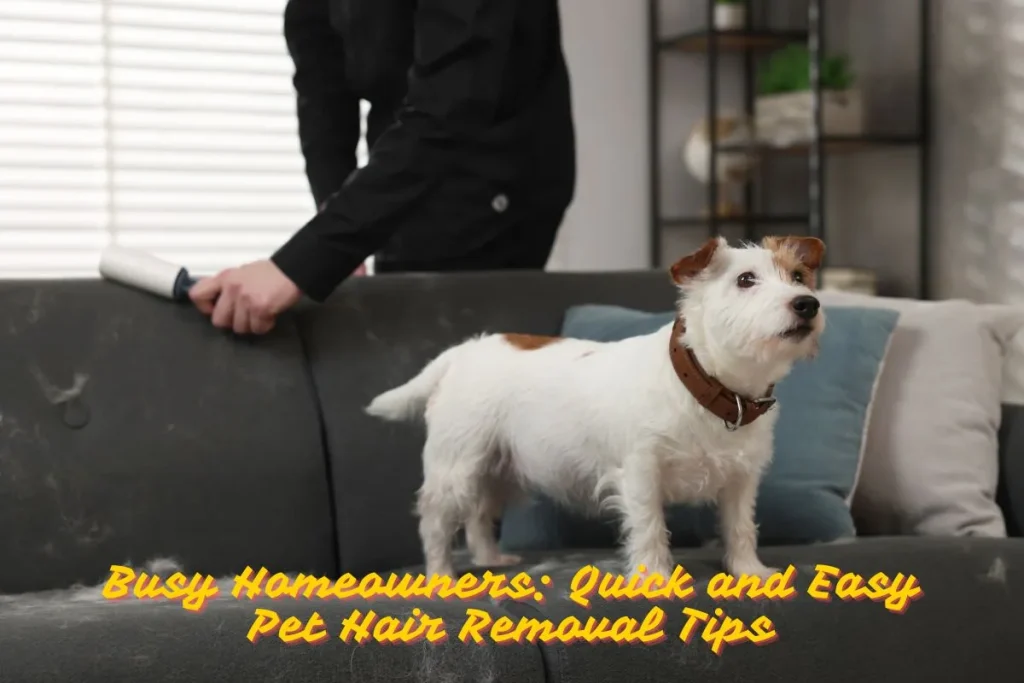 Busy Homeowners Quick and Easy Pet Hair Removal Tips