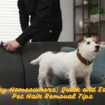 Busy Homeowners Quick and Easy Pet Hair Removal Tips