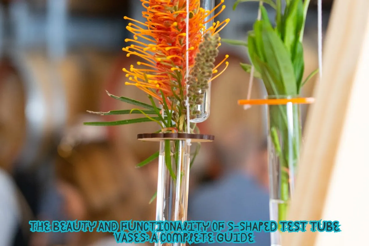 The Beauty and Functionality of S-Shaped Test Tube Vases A Complete Guide