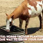 metal horse trough planter