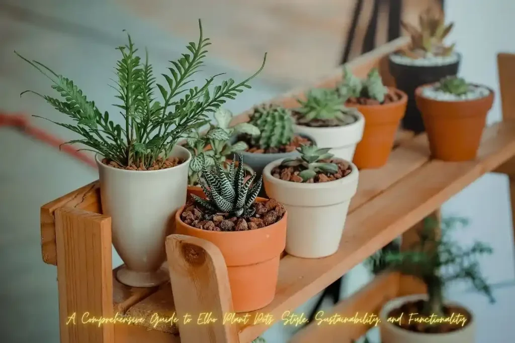 A Comprehensive Guide to Elho Plant Pots Style, Sustainability, and Functionality