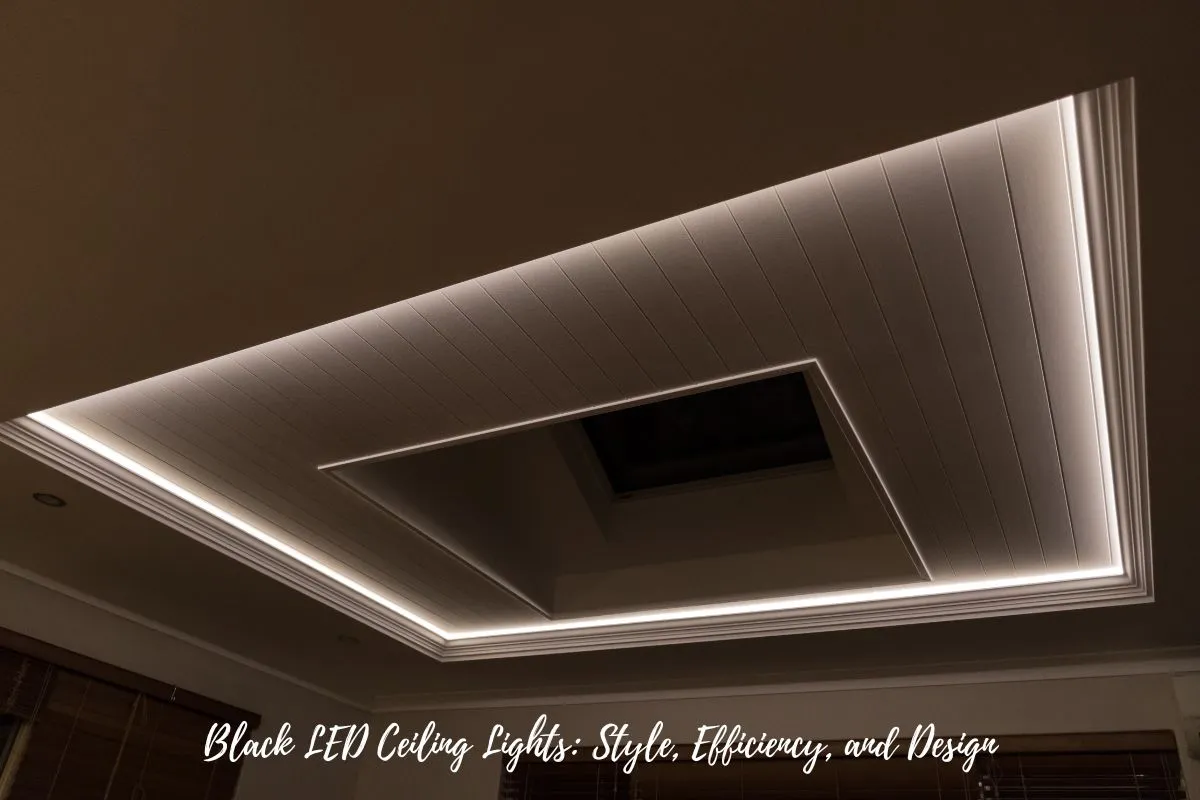 Black LED Ceiling Lights Style, Efficiency, and Design