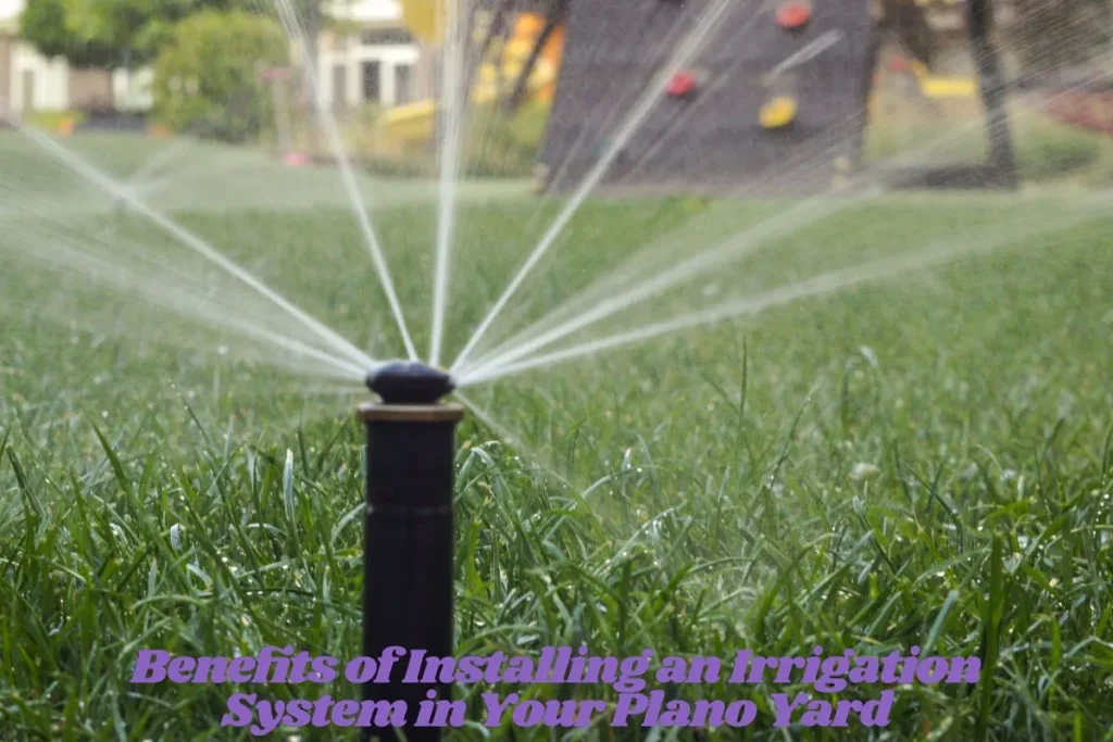 Benefits of Installing an Irrigation System in Your Plano Yard