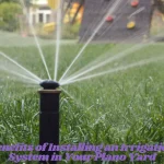 Benefits of Installing an Irrigation System in Your Plano Yard