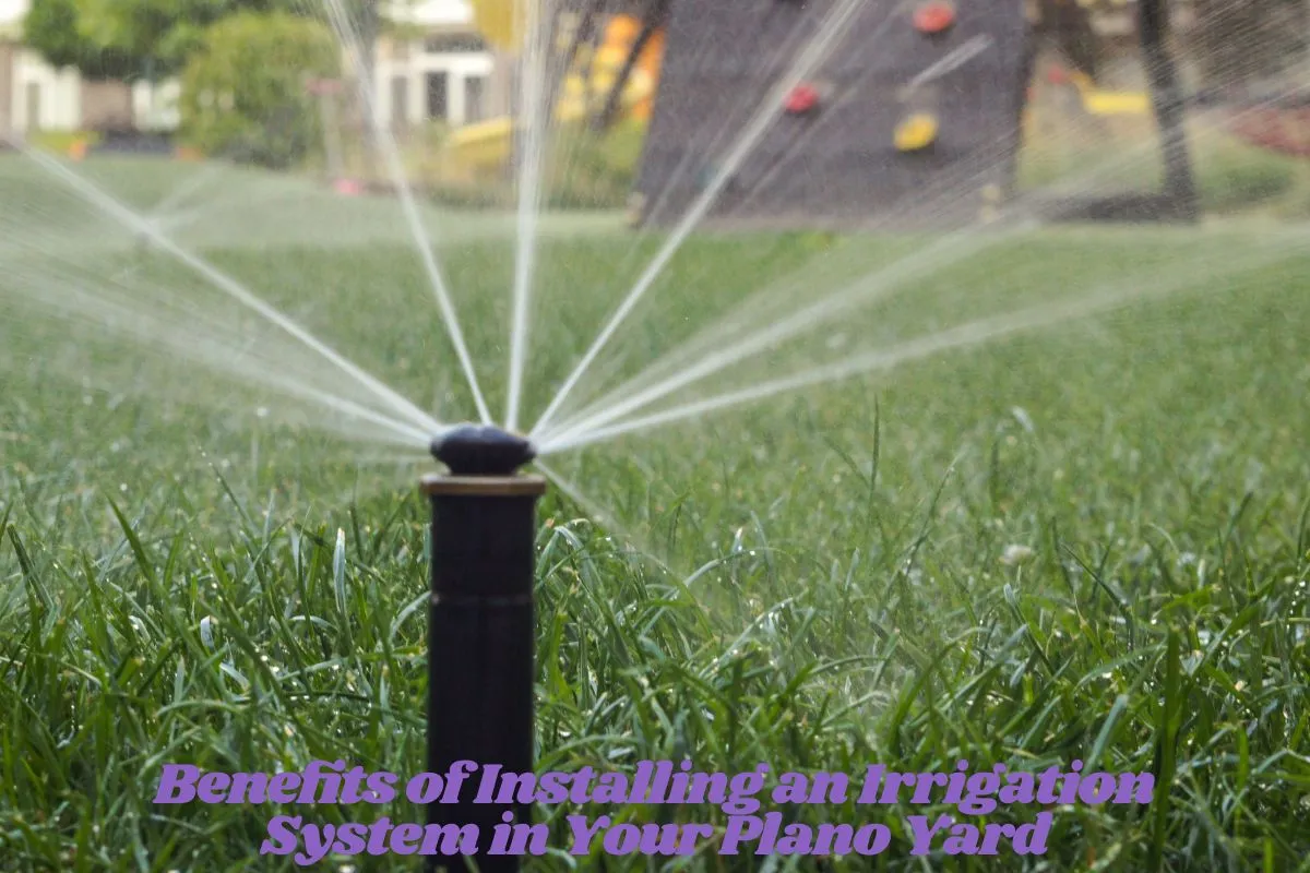 Benefits of Installing an Irrigation System in Your Plano Yard
