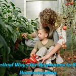 Practical Ways for Beginners to Start Homesteading