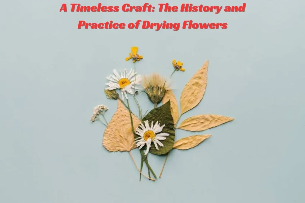 A Timeless Craft The History and Practice of Drying Flowers