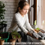 Indoor Herb Gardening for Beginners