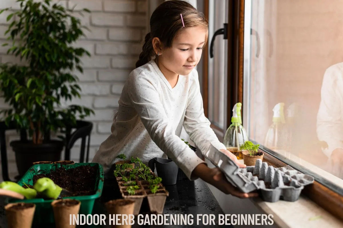 Indoor Herb Gardening for Beginners