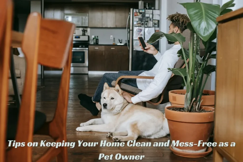 Tips on Keeping Your Home Clean and Mess-Free as a Pet Owner