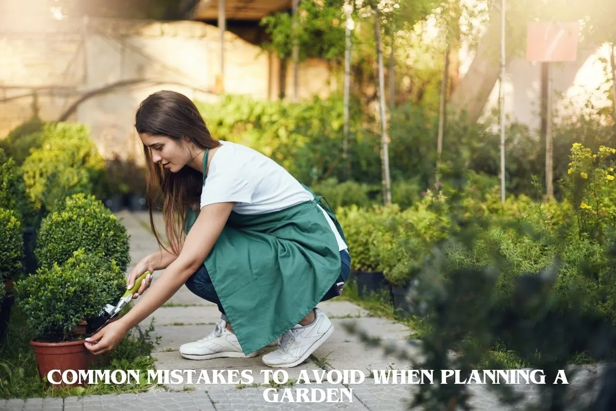 Common Mistakes to Avoid When Planning a Garden